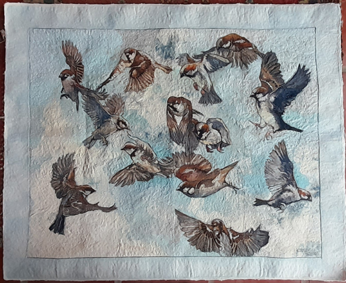 A Bucketfull of Birds